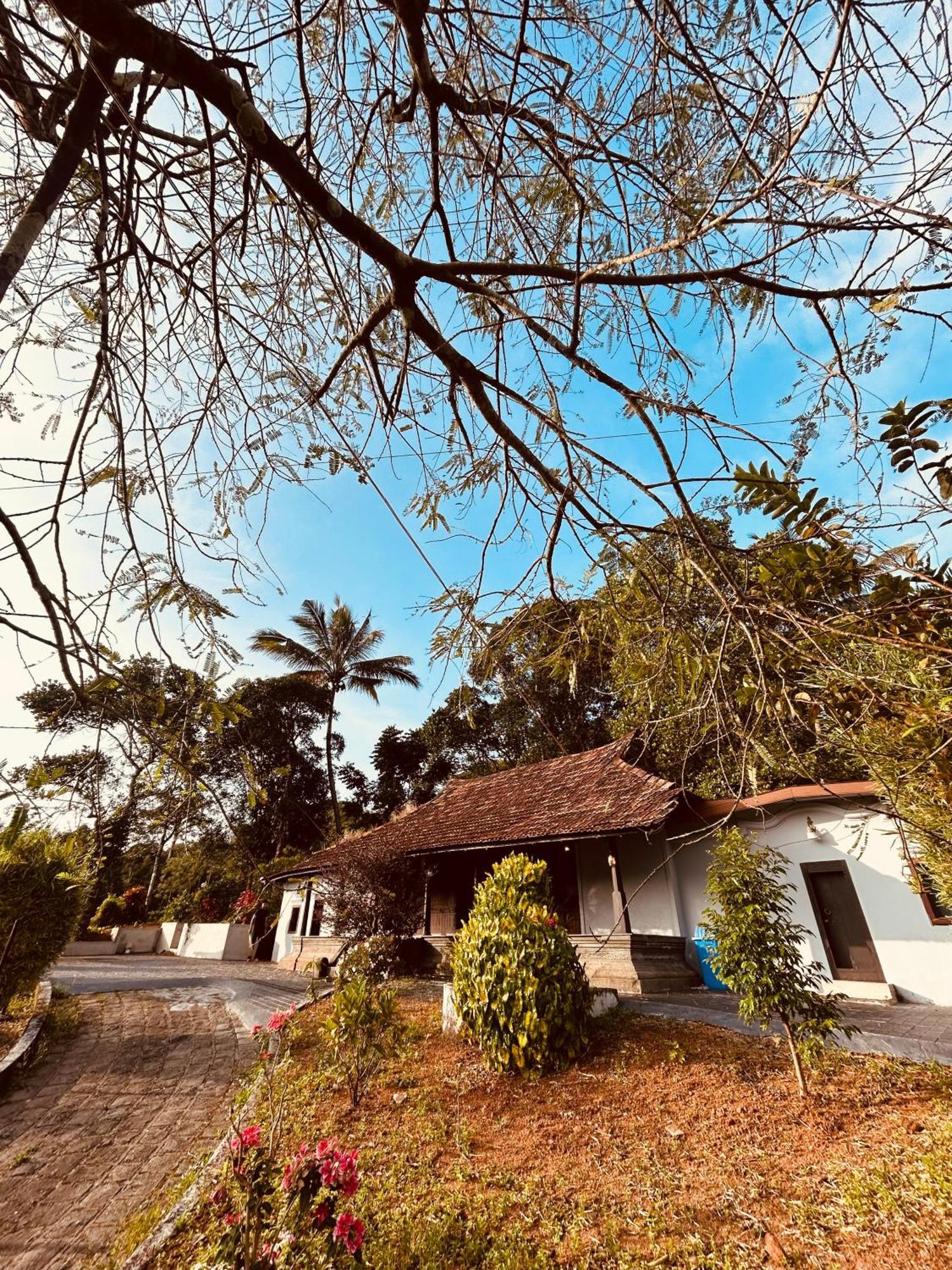 Kudayattur Silent House 빌라 외부 사진